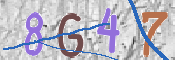CAPTCHA-Bild