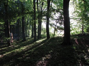 bealtaine2012-004
