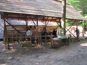 bealtaine2012-011